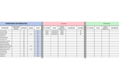 plantilla excel entrada y salida