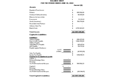 plantilla excel estados financieros